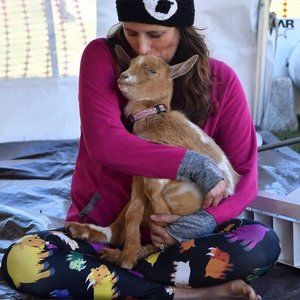 Meet your Posher, Beth